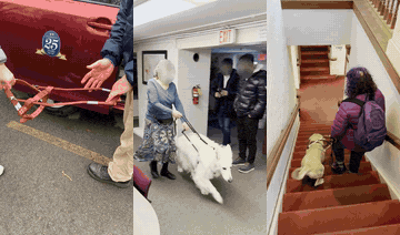 Towards Robotic Companions: Understanding Handler-Guide Dog Interactions for Informed Guide Dog Robot Design